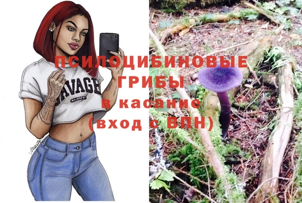 индика Каменка