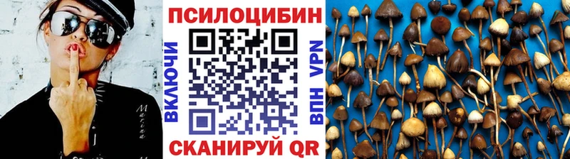 Галлюциногенные грибы мухоморы  Маркс 