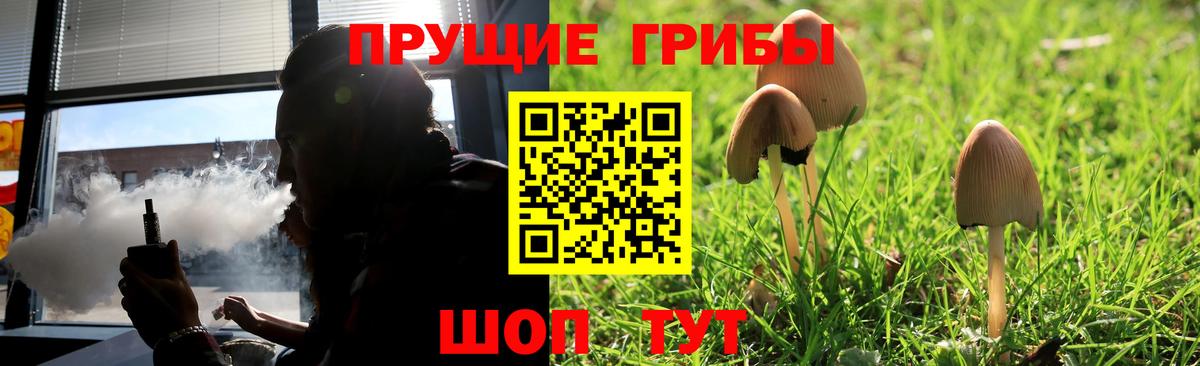 Маркс  Псилоцибиновые грибы MAGIC MUSHROOMS  Галлюциногенные грибы Magic Shrooms  Вход с VPN 